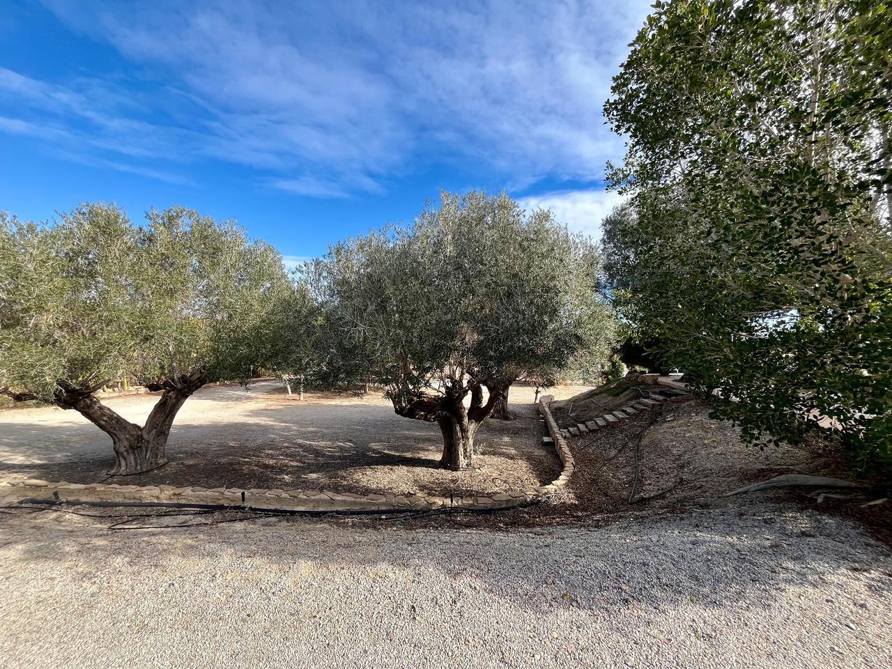 Villa en Venta en Murcia