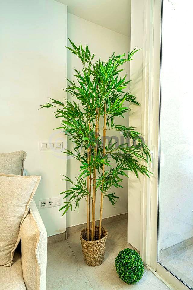 Flat for Sale in Guía de Isora