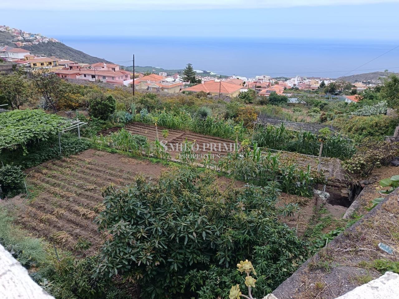 House for Sale in Icod de los Vinos