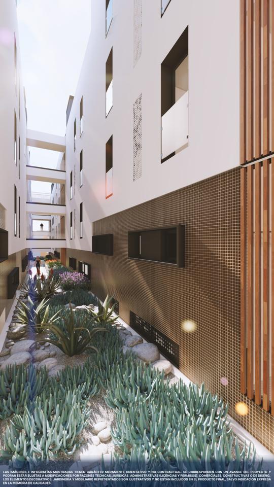 Flat for Sale in Adeje