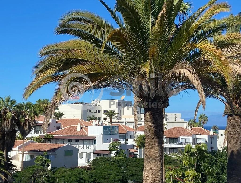 Studio for Sale in Adeje
