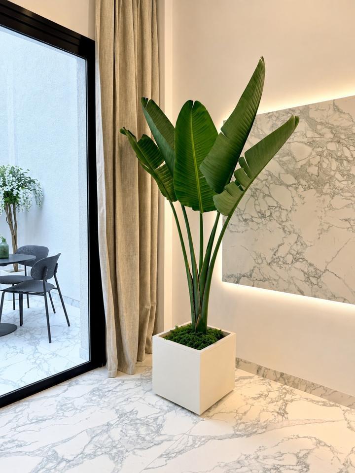 Flat for Sale in Granadilla de Abona