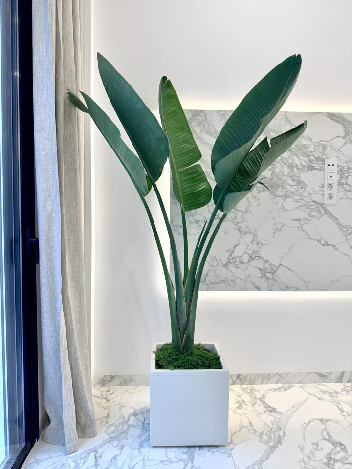 Flat for Sale in Granadilla de Abona