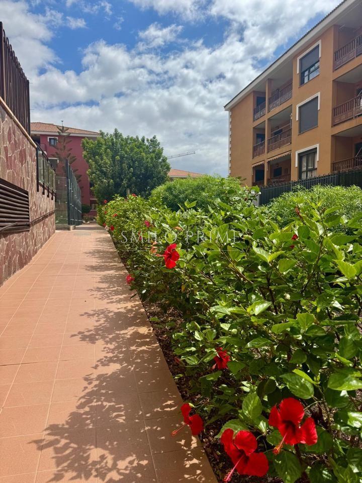Flat for Rent in Arona