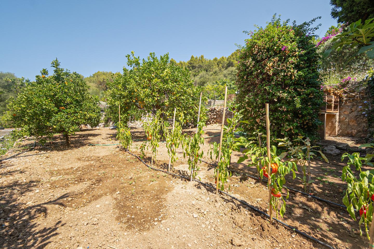 Villa for Sale in Sóller