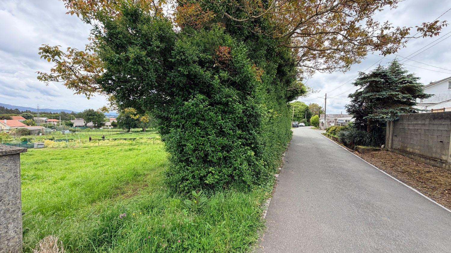 Plot for Sale in Narón