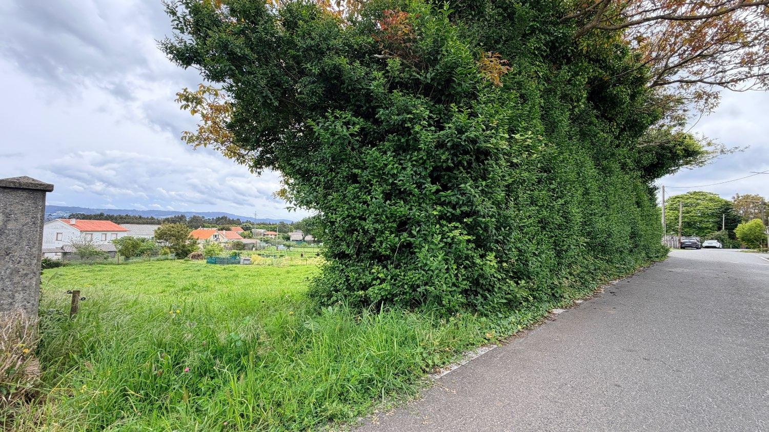 Plot for Sale in Narón