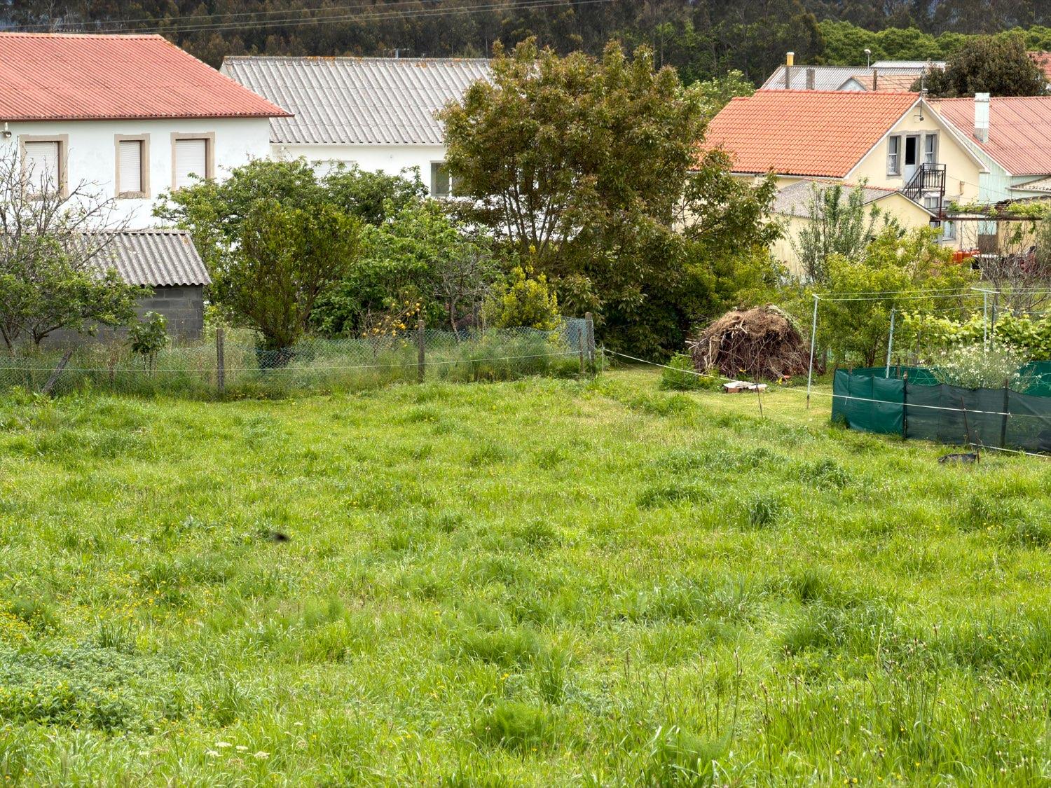 Plot for Sale in Narón