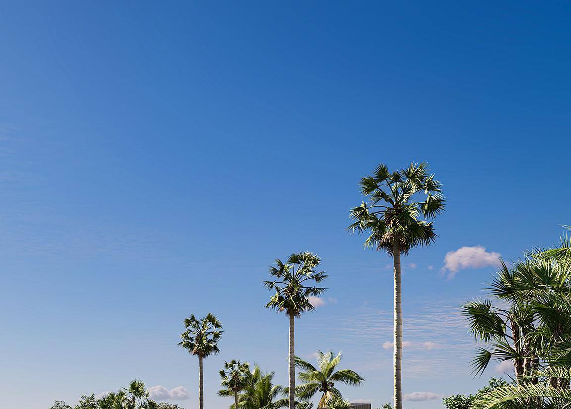 Apartment for Sale in Marbella