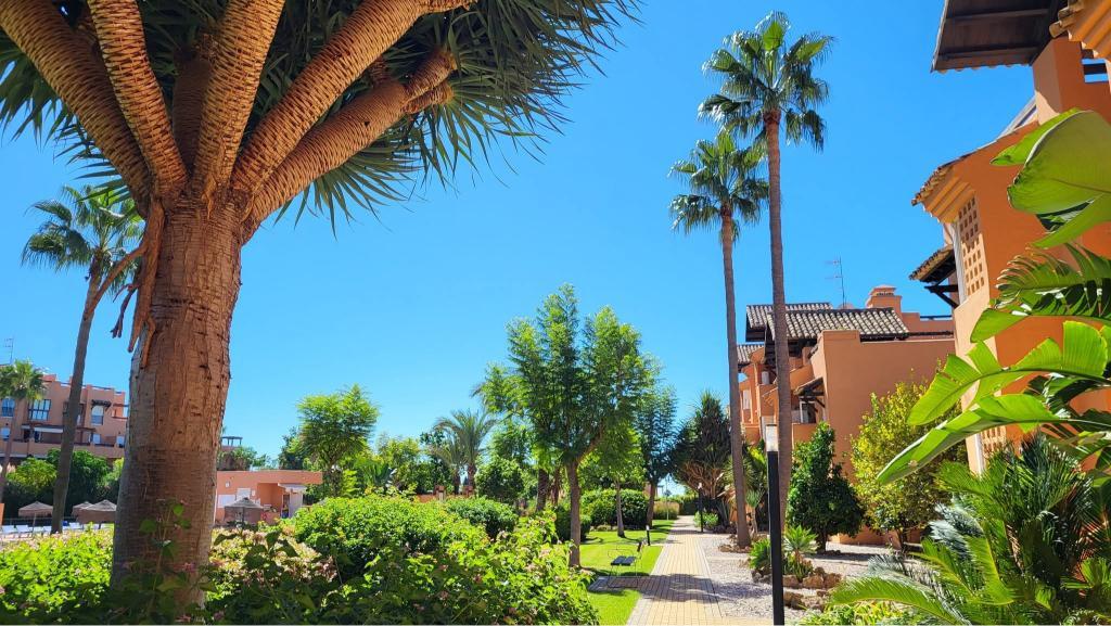 Penthouse for Rent in Casares