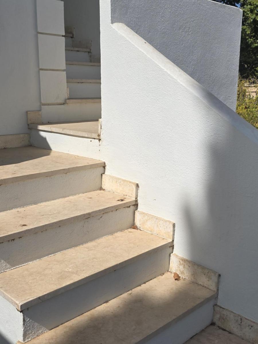 Premise for Rent in Marbella