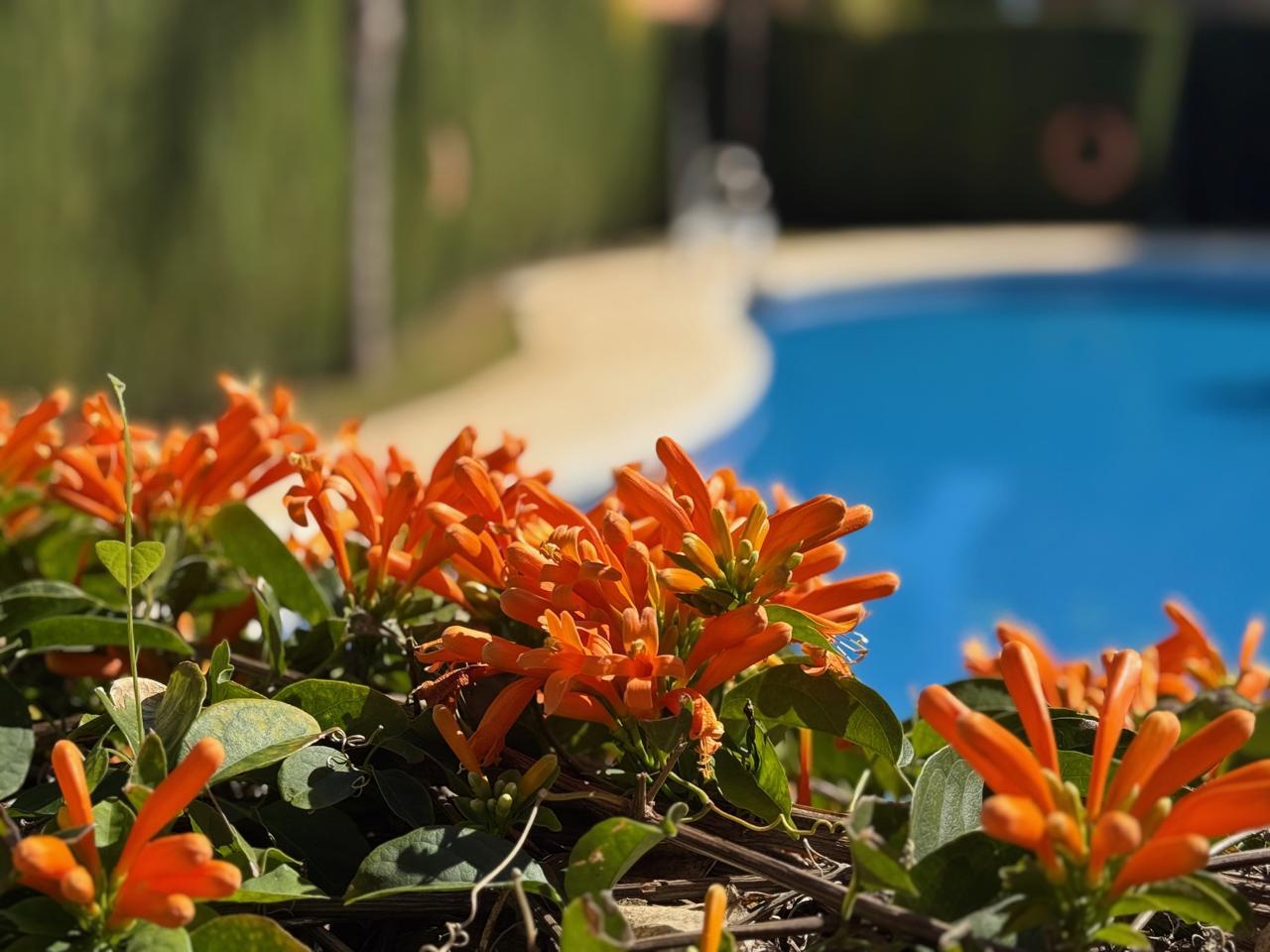 Villa for Sale in Estepona