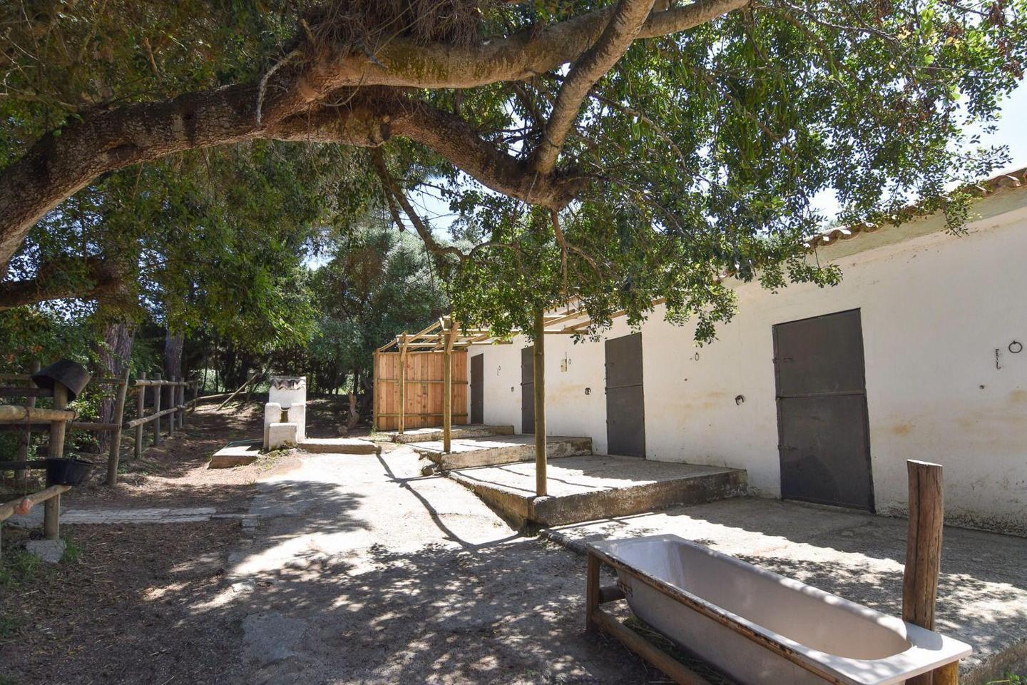 Finca en Venta en San Roque
