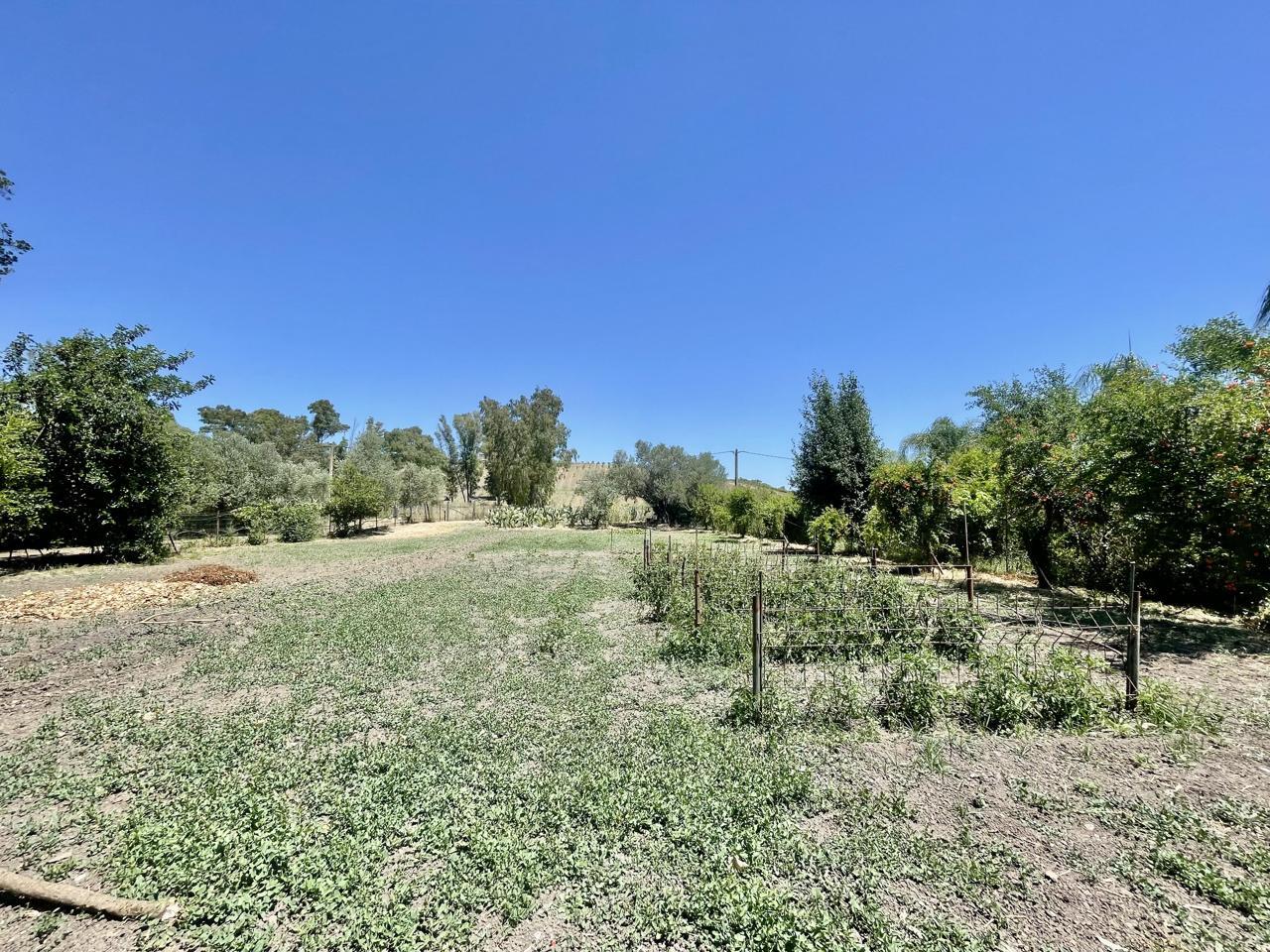 Finca en Venta en Jimena de la Frontera
