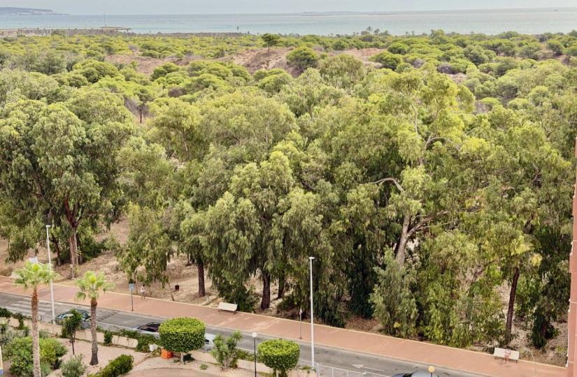 Apartamento en Venta en Guardamar del Segura