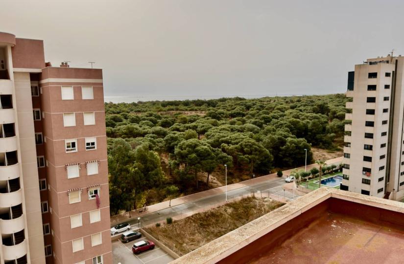 Apartamento en Venta en Guardamar del Segura