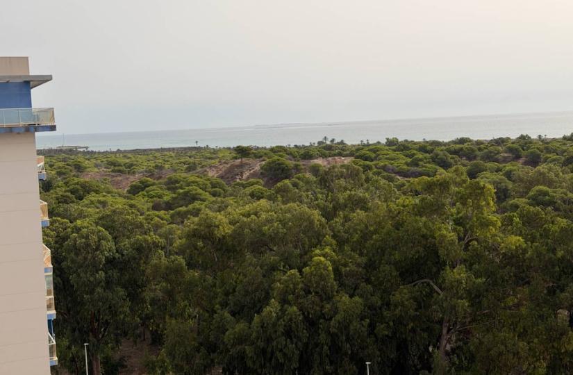 Apartamento en Venta en Guardamar del Segura