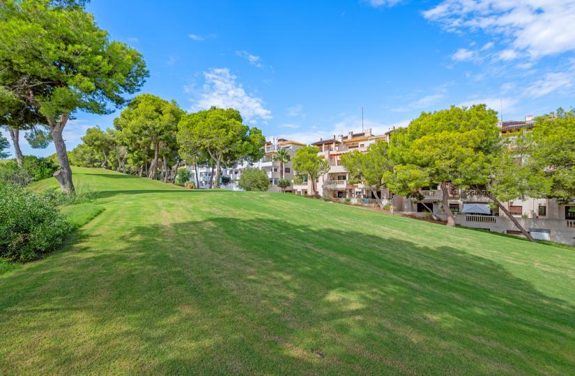 Apartamento en Venta en Orihuela
