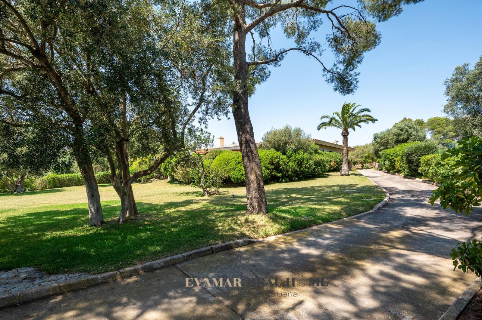 Chalet en Venta en Marratxí