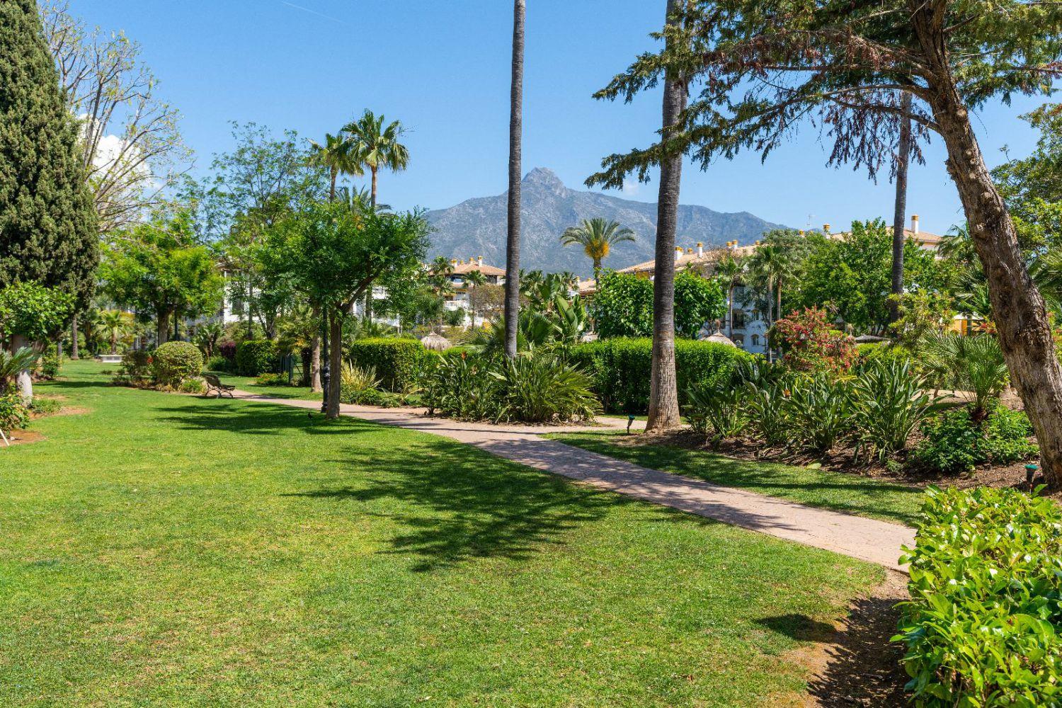 Apartment for Rent in Marbella