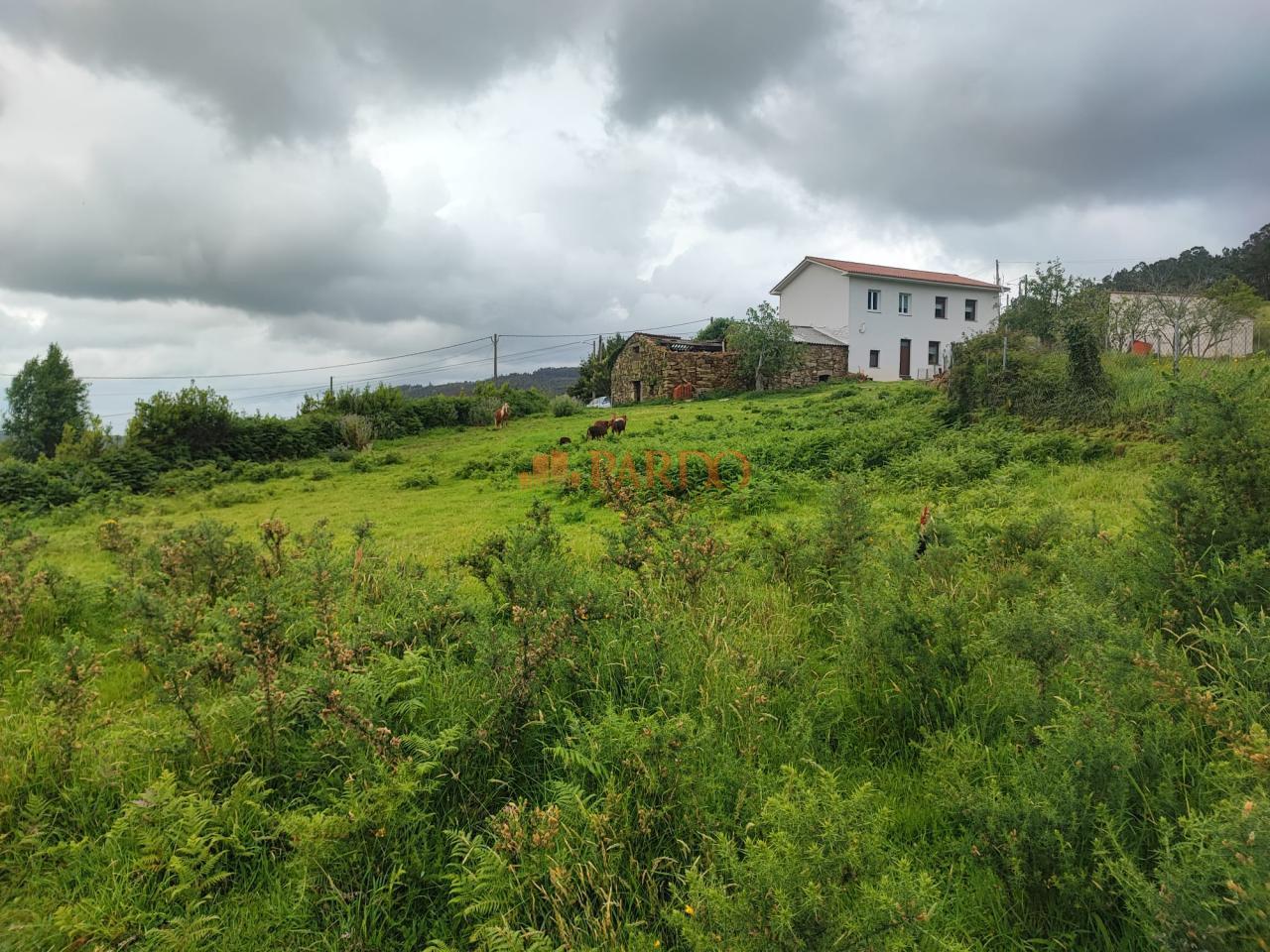 Casa en Venta en Neda