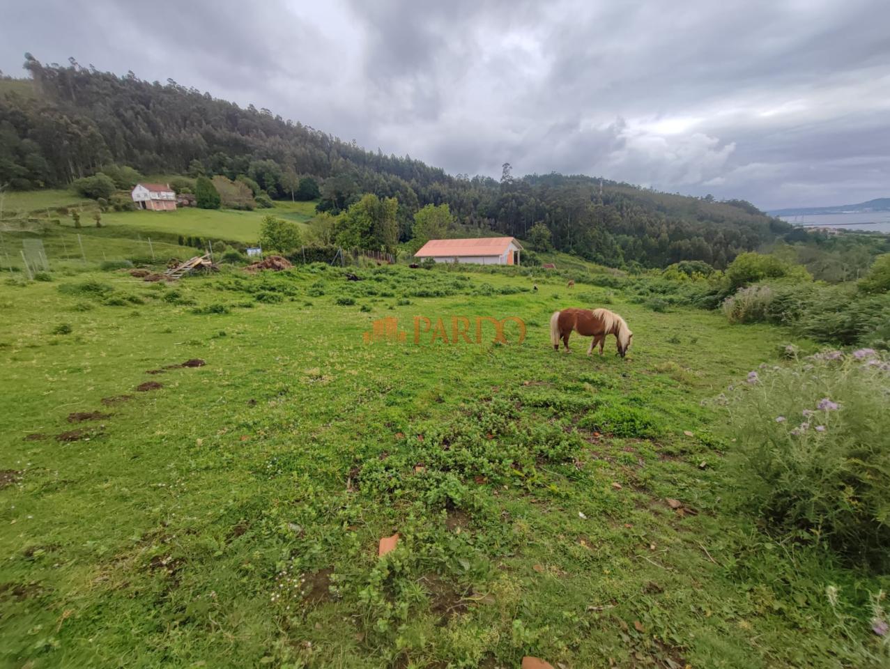 Casa en Venta en Neda