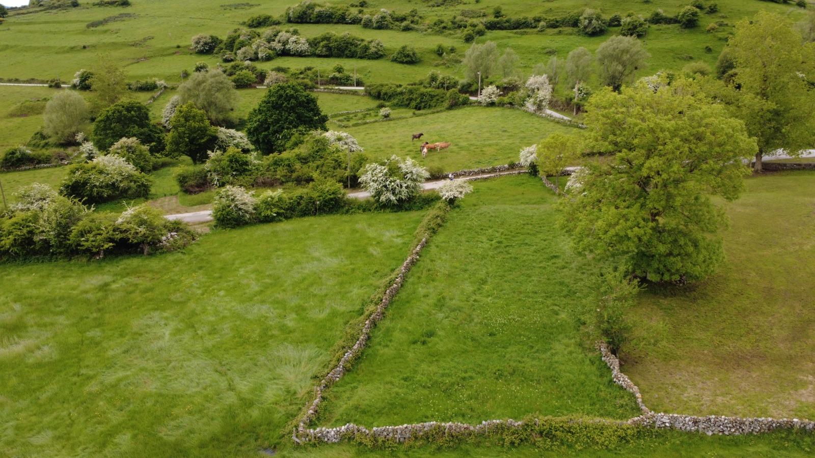 Plot for Sale in Campoo de Yuso