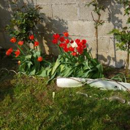 House for Sale in Campoo de Enmedio