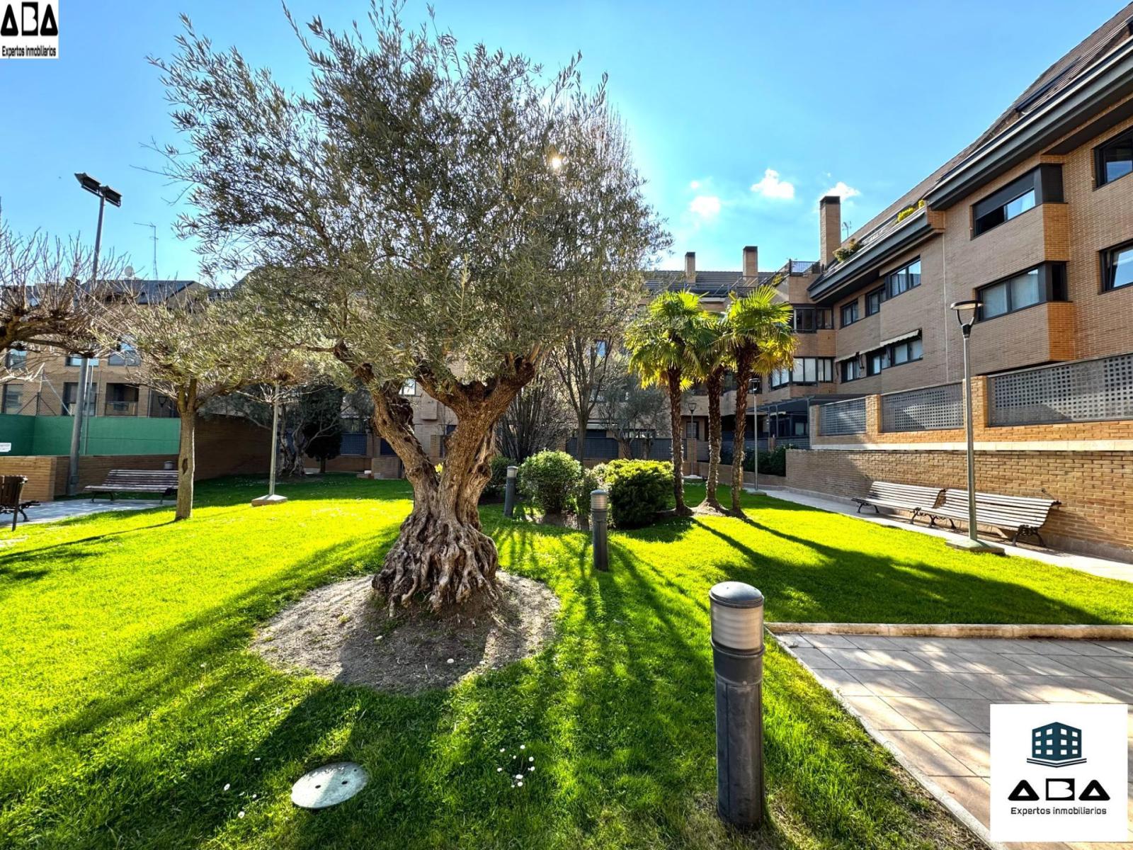 Flat for Sale in Las Rozas de Madrid
