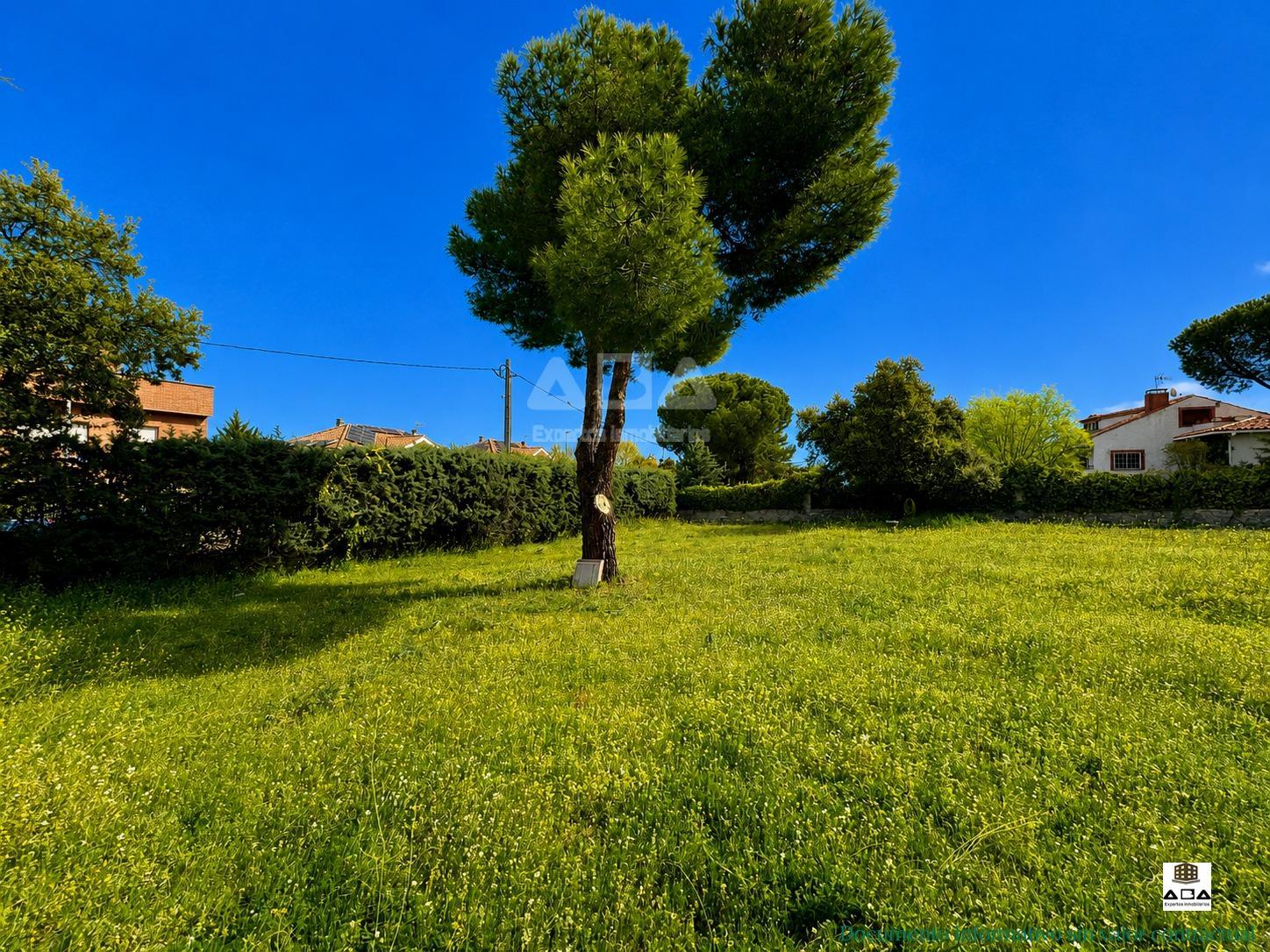 Plot for Sale in Las Rozas de Madrid