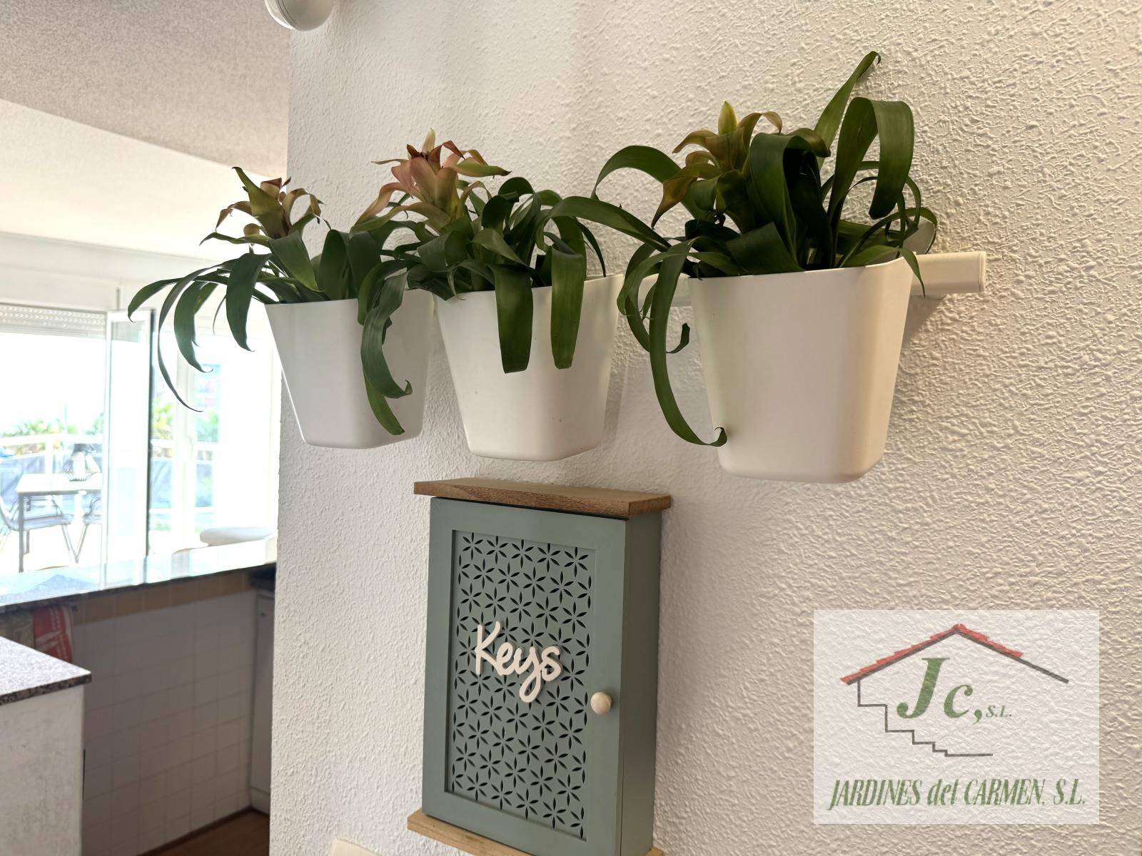 Flat for Rent in Torrox
