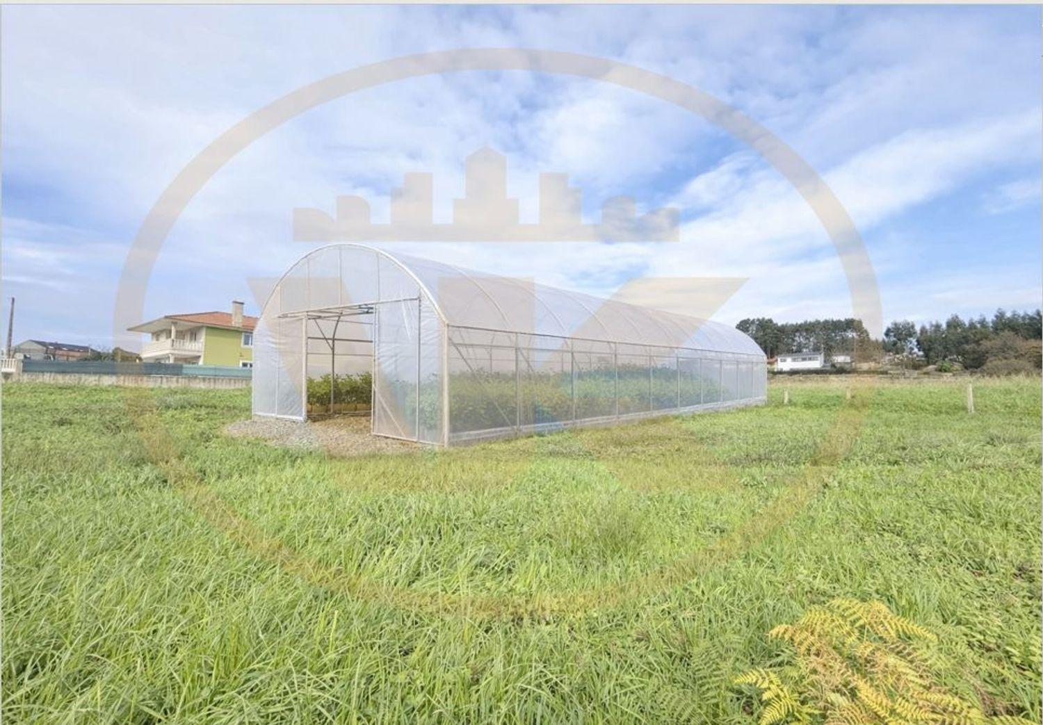 Solar en Venta en Bergondo