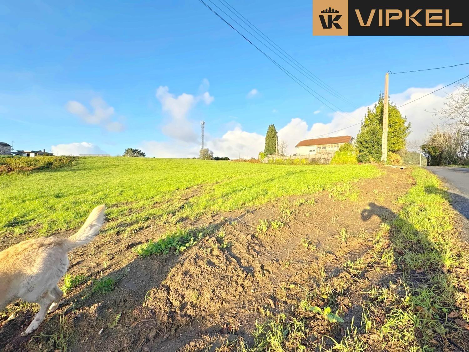 Building Site for Sale in Paderne