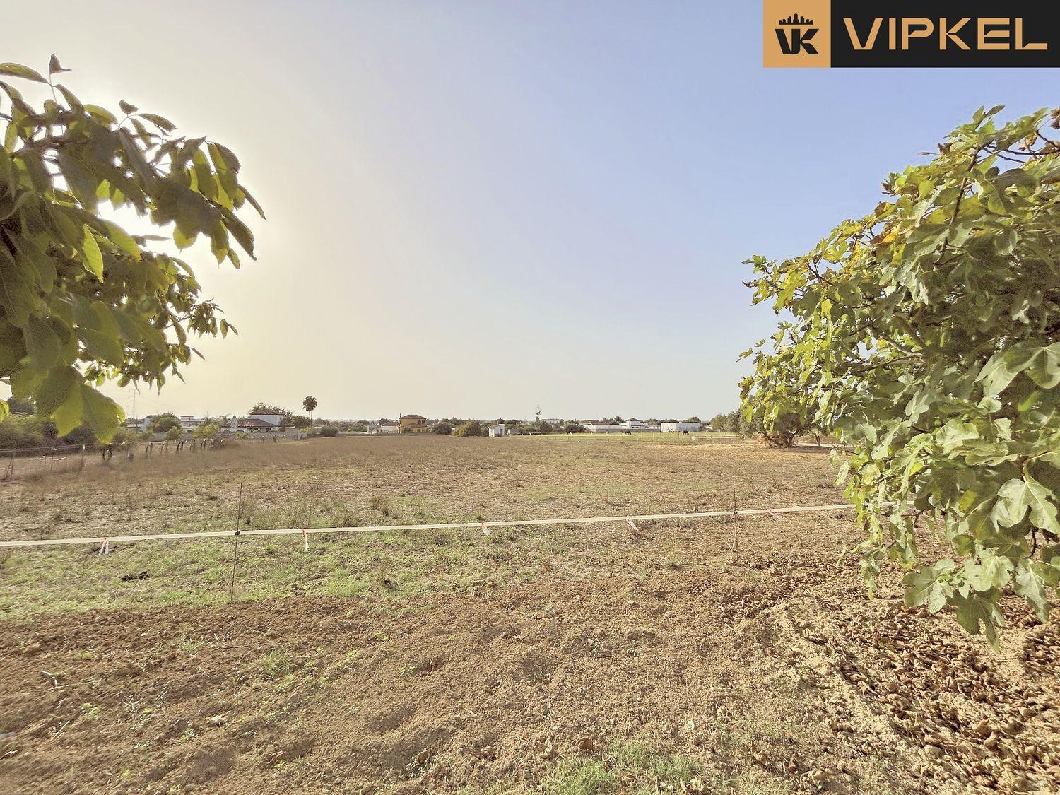 House for Sale in Conil de la Frontera