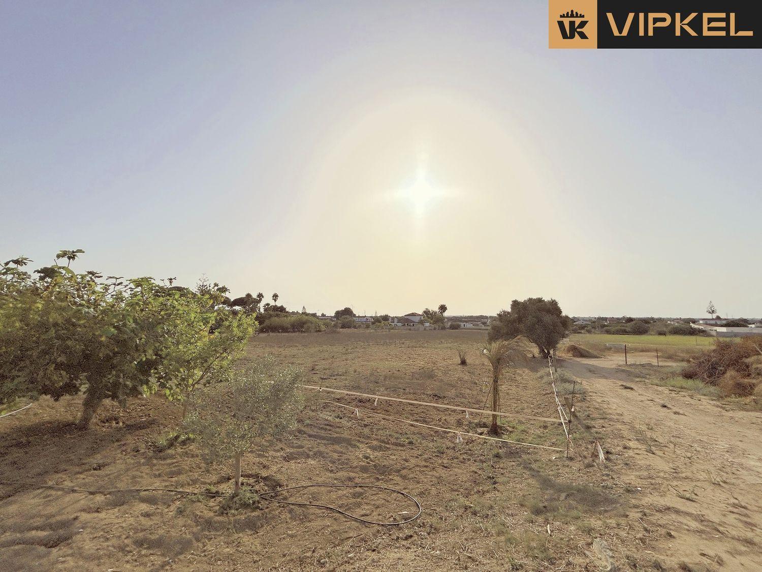 House for Sale in Conil de la Frontera