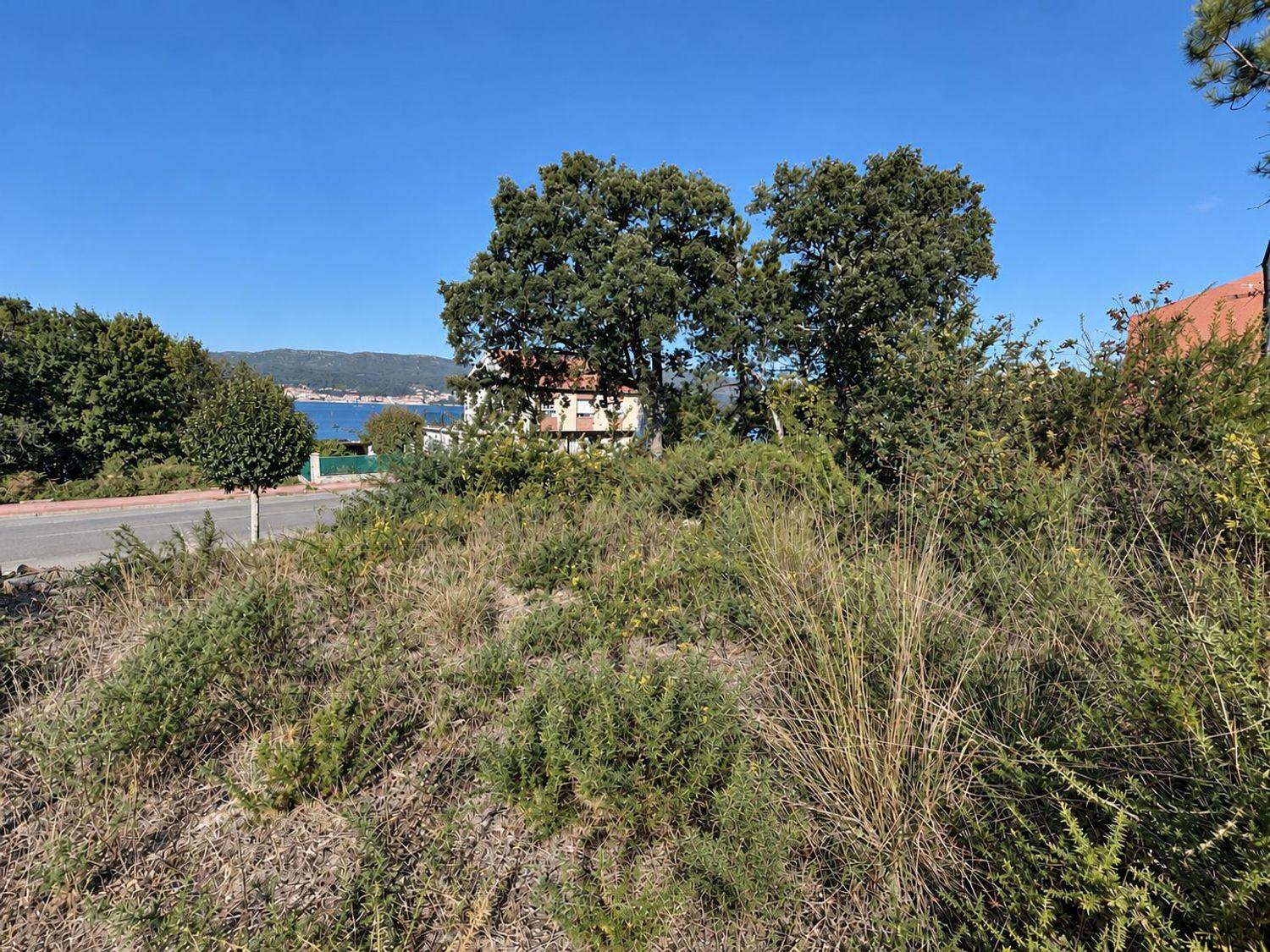 Plot for Sale in Boiro