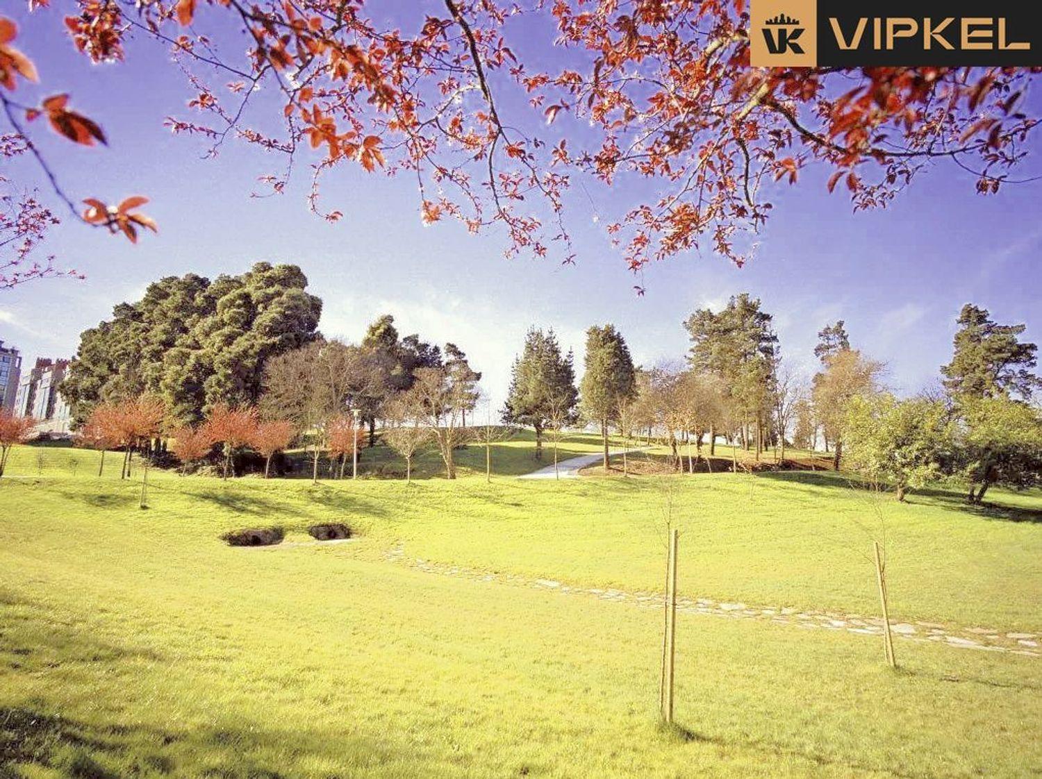 Flat for Rent in Santiago de Compostela