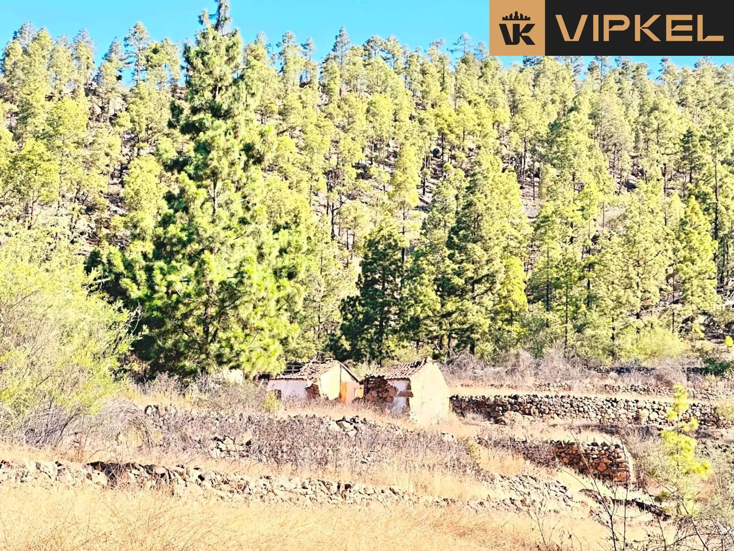 Building Site for Sale in Vilaflor