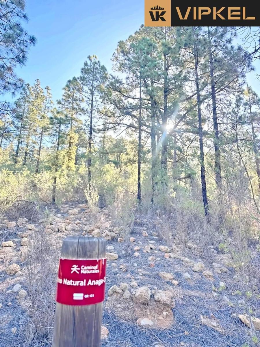 Building Site for Sale in Vilaflor