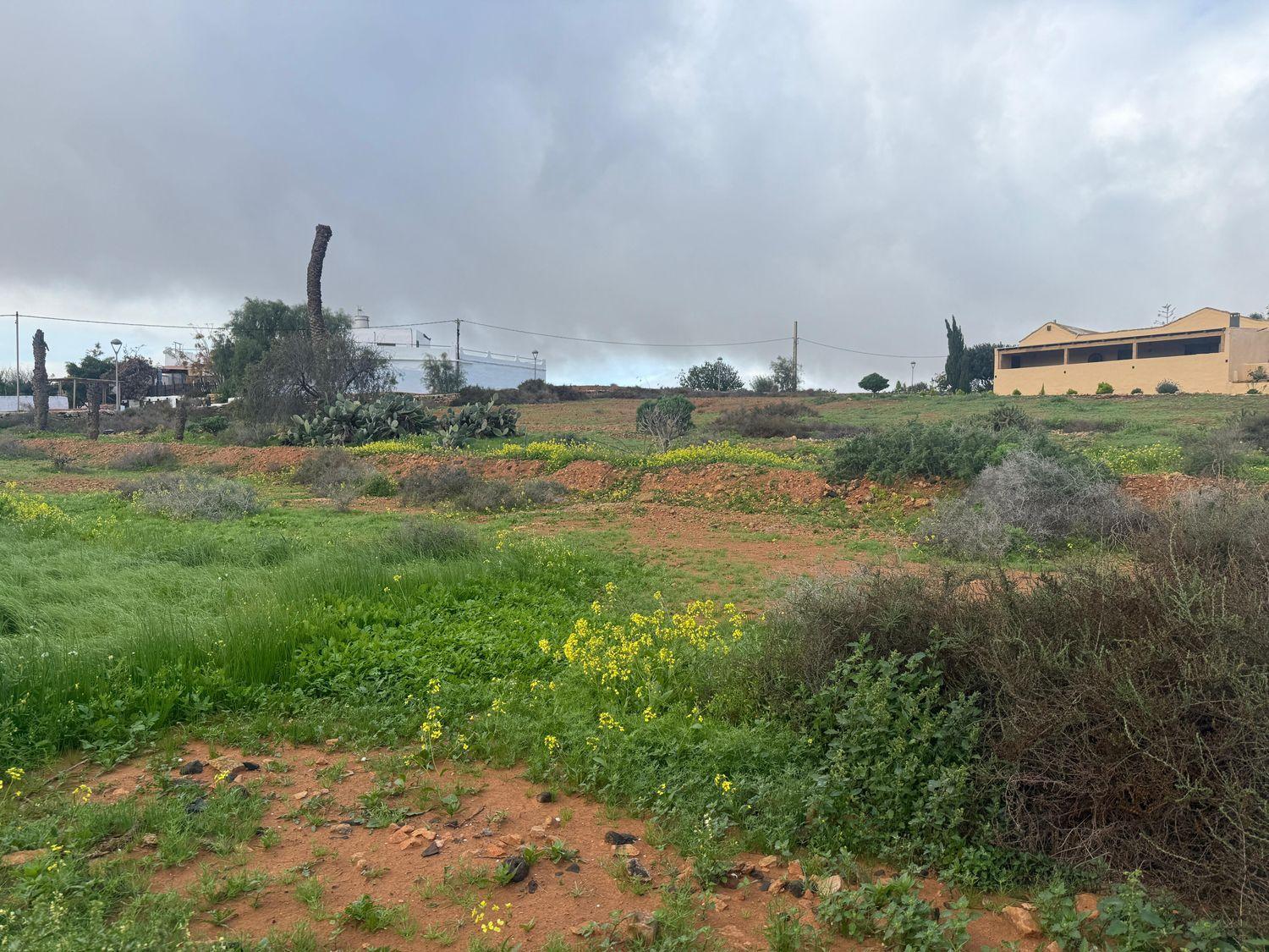 Plot for Sale in Antigua
