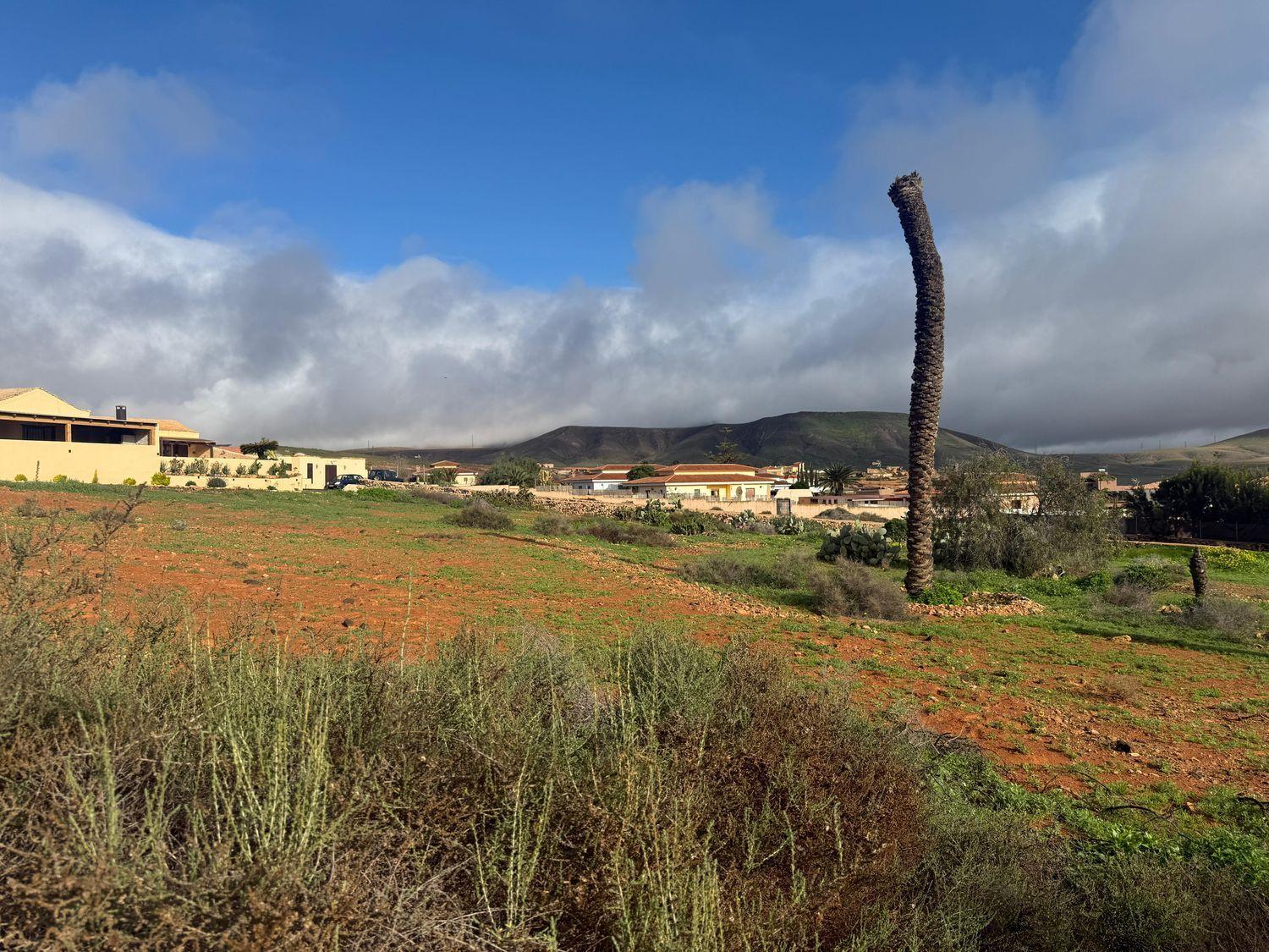 Plot for Sale in Antigua
