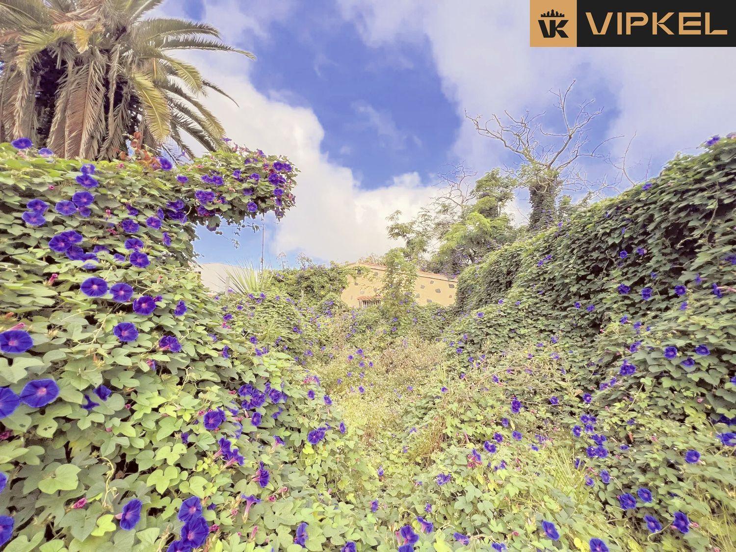 Casa en Venta en San Cristóbal de La Laguna