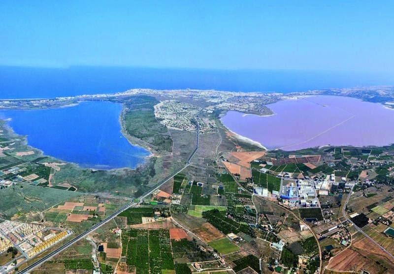 Flat for Sale in Torrevieja
