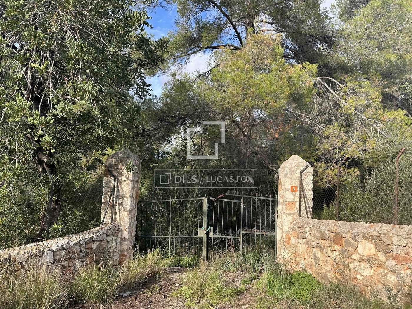 Plot for Sale in Bunyola