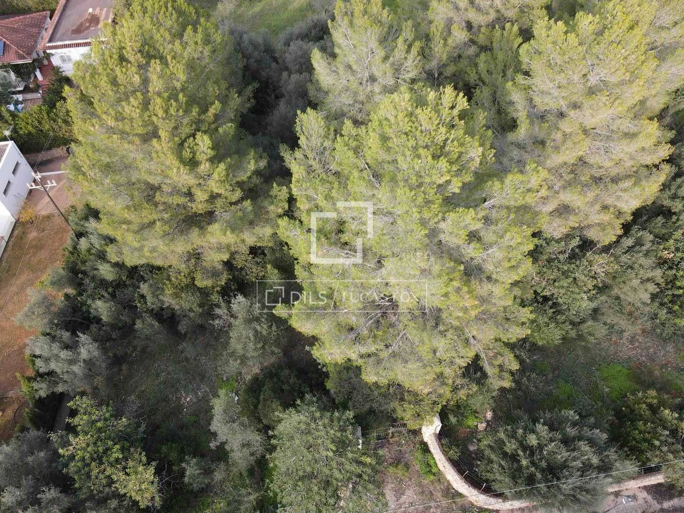 Plot for Sale in Bunyola