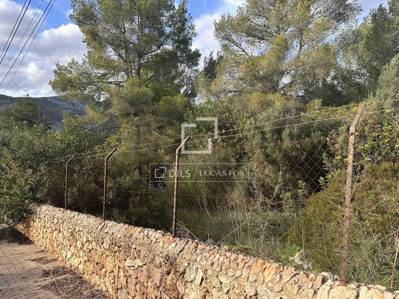 Plot for Sale in Bunyola