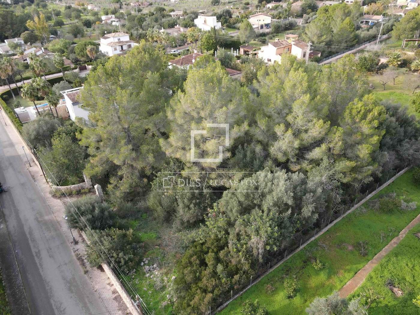 Plot for Sale in Bunyola