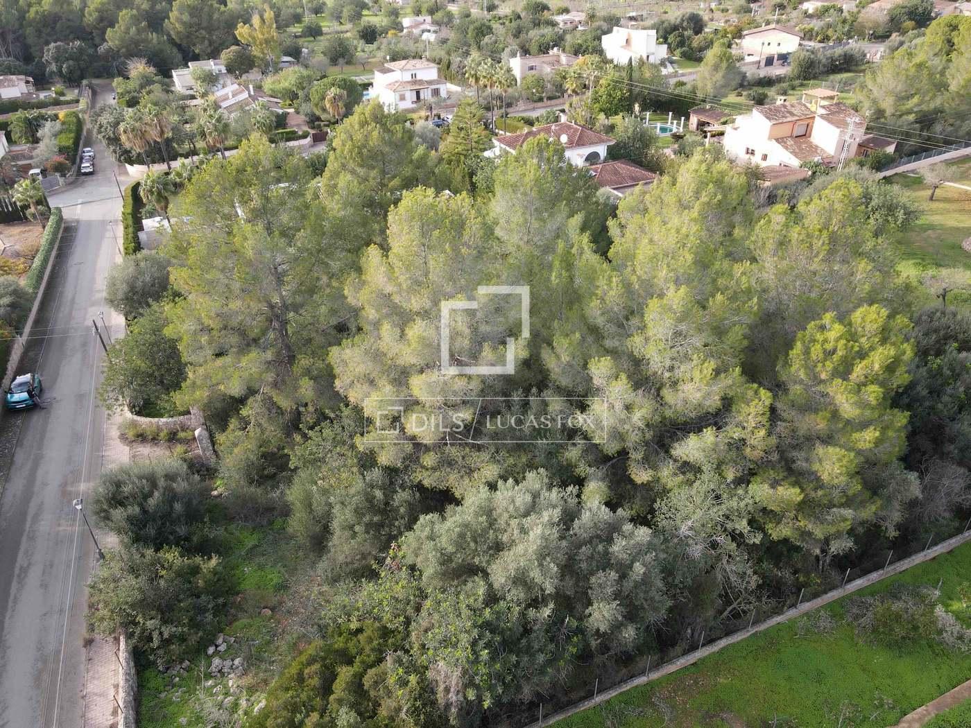 Plot for Sale in Bunyola
