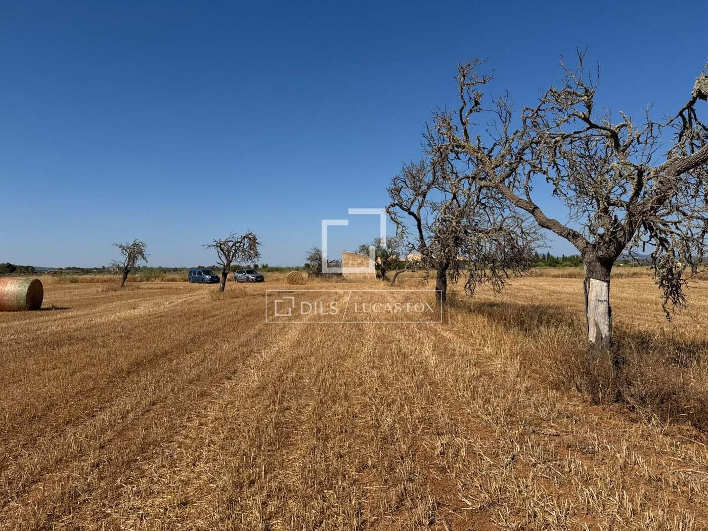 Parcela en Venta en Campos