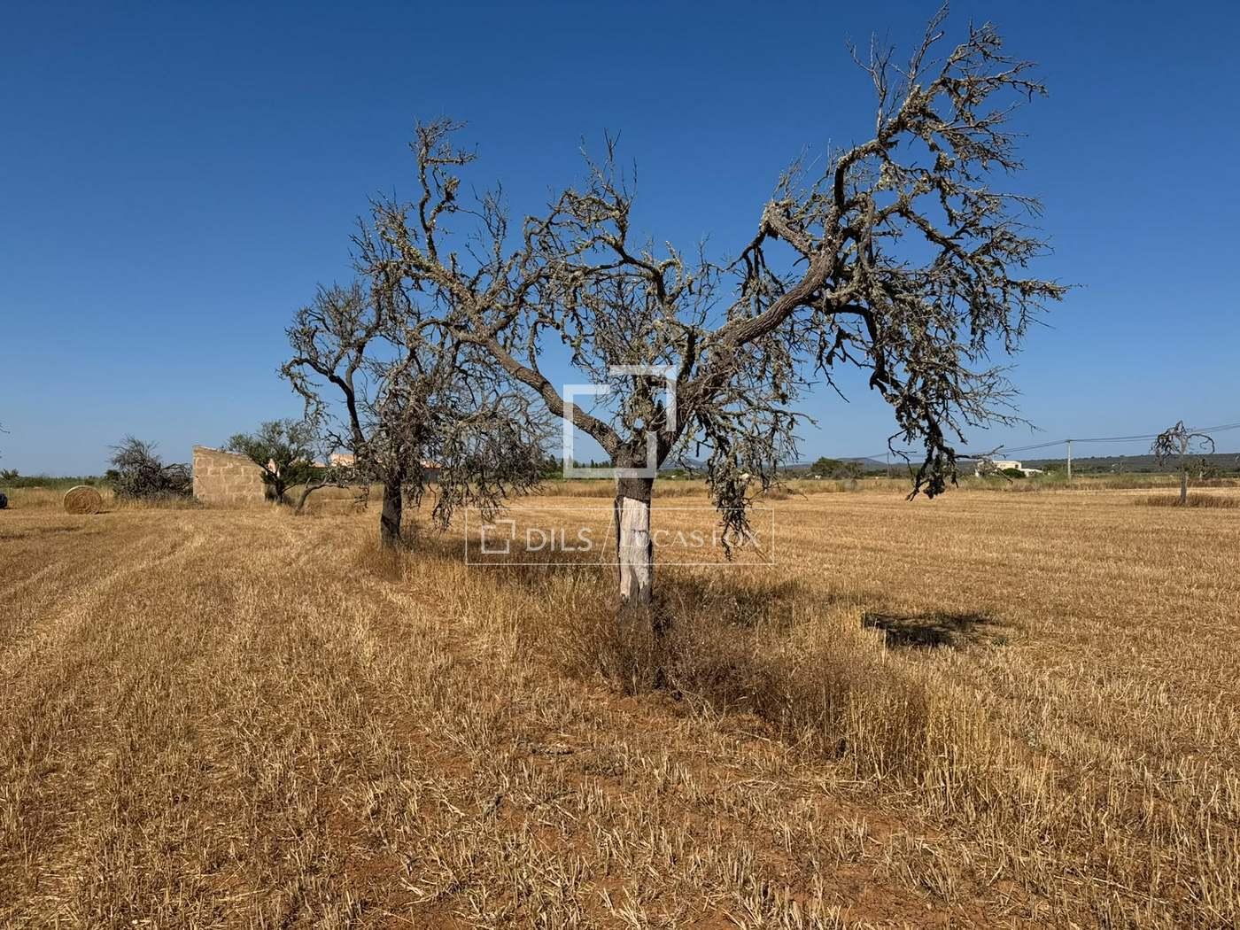 Parcela en Venta en Campos